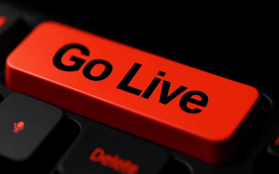 SAP-Einführung ohne Drama – Projektleitung und Go-live im vorgegebenen Zeit- und Budgetrahmen